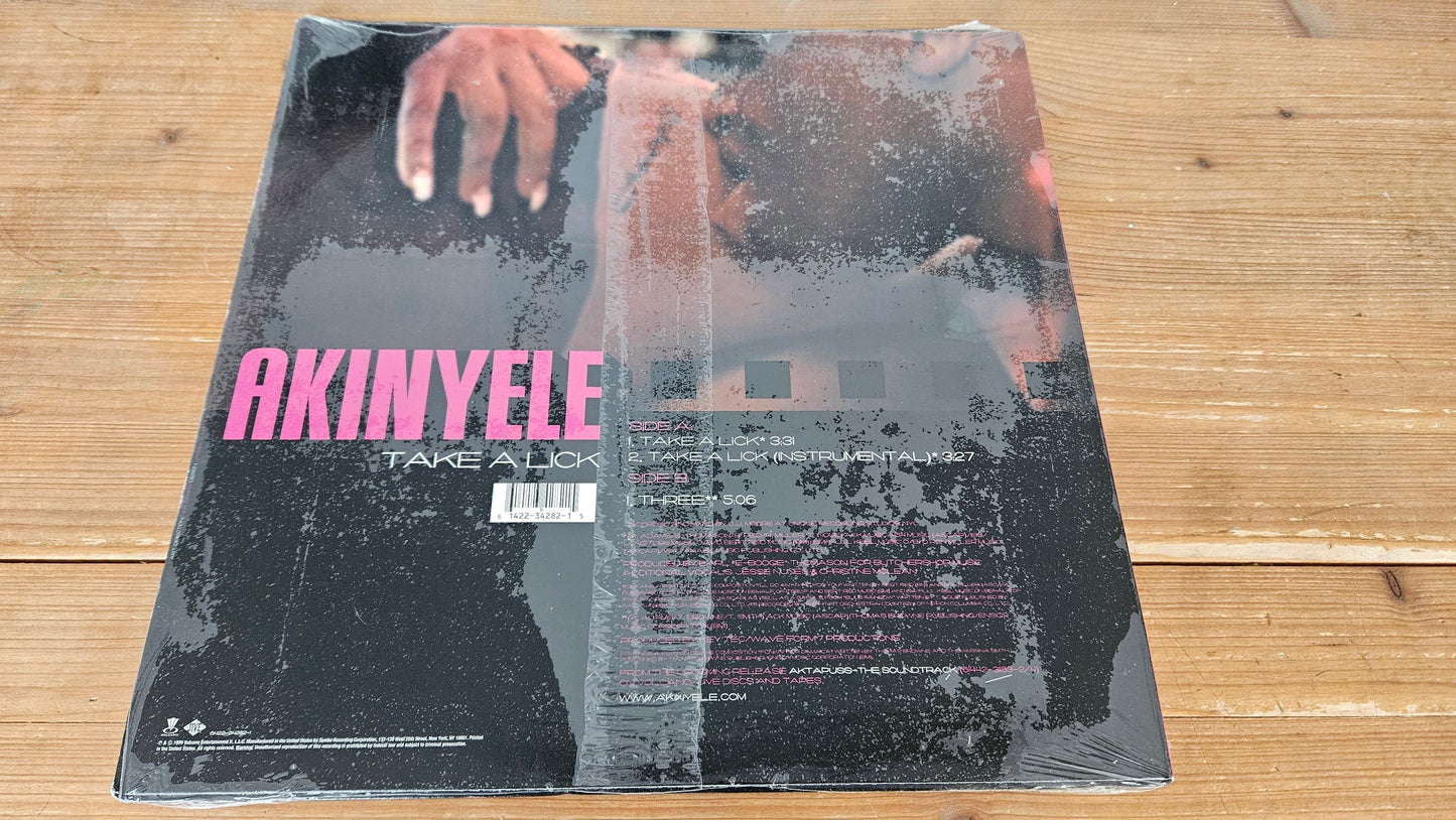 Akinyele - Take a Lick