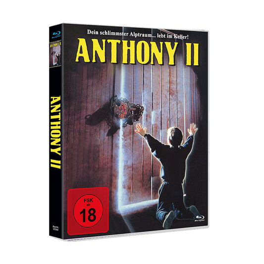 Anthony 2 - Wmm Scanavo Box