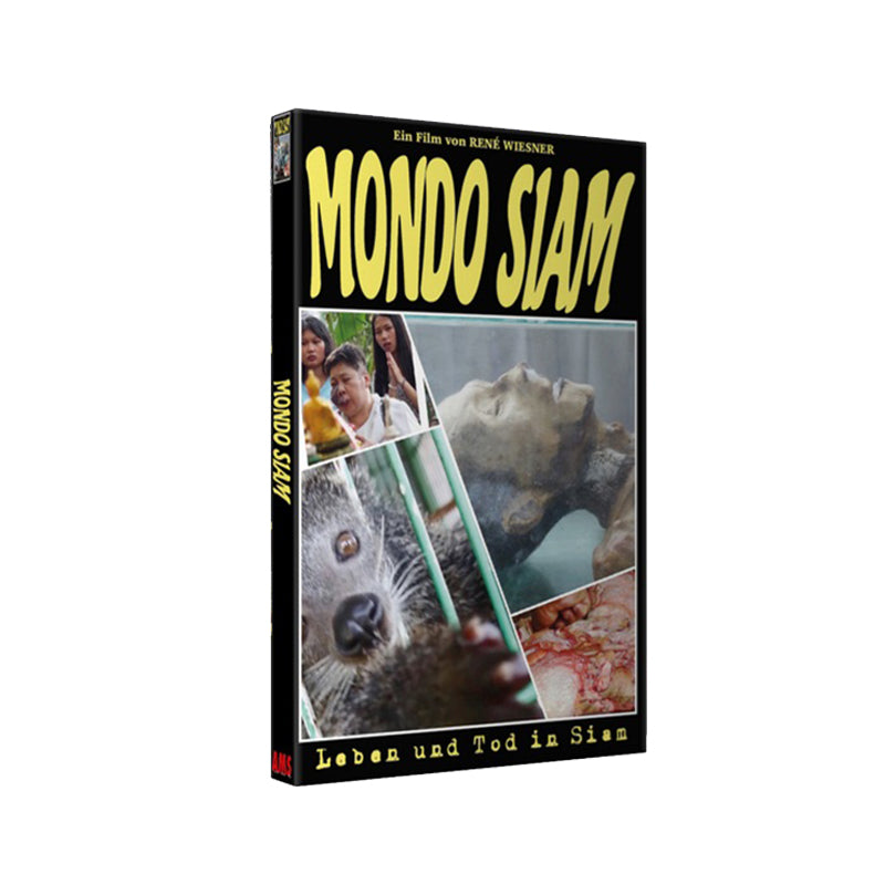 Mondo Siam - Große Ams Hartbox - Cover A